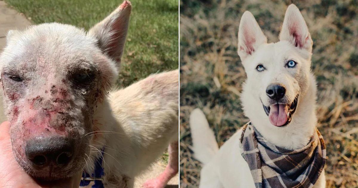 18 - most beautiful before and after adoption