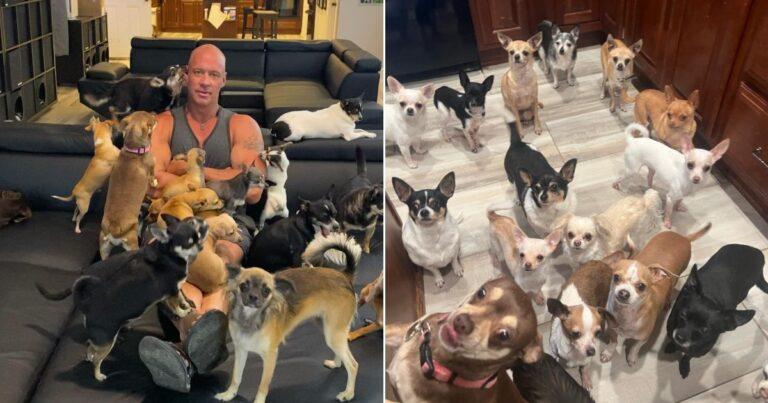 Bodybuilder Who Once Mocked Toy Dogs Became Their Biggest Savior