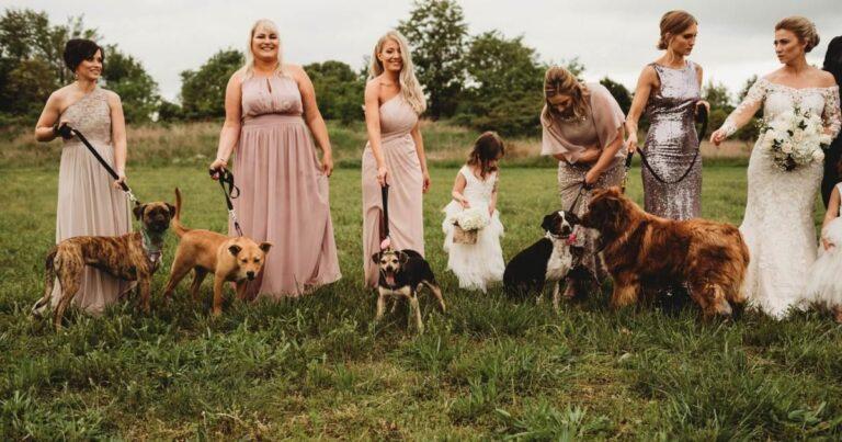 Bridesmaids Swaps Bouquets For Shelter Dogs To Walk Down The Aisle