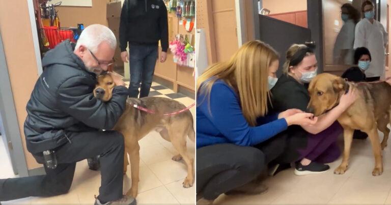Dog Gets Adopted After Months Of Waiting And Can’t Leave Without Kissing Everyone Goodbye