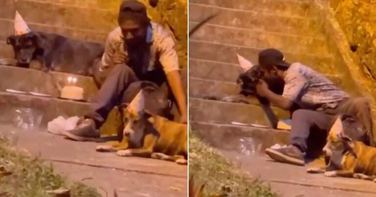 Homeless Man And His Dogs Caught Celebrating Birthday In The Streets