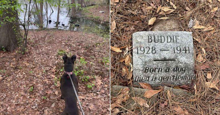 Louisiana Man Finds An Old Dog Grave That Leave Him In Tears
