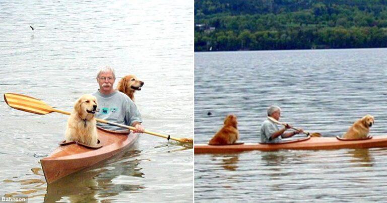 Man Customizes His Kayak To Take His Two Furry Pals On Adventures