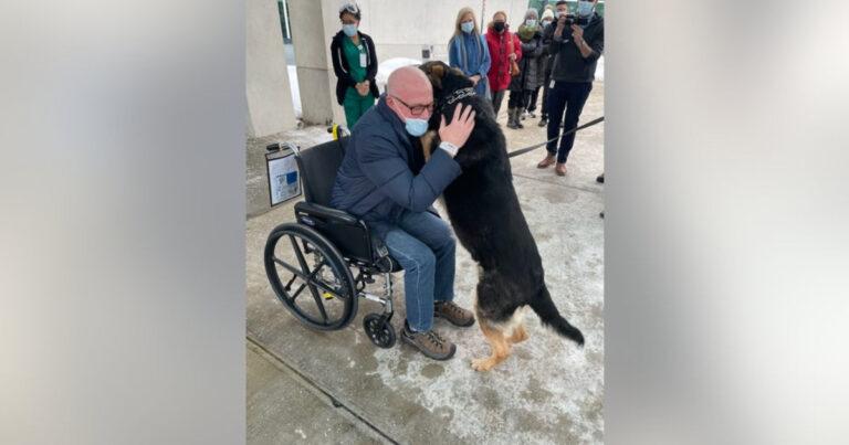 New Jersey Man Reunites With German Shepherd Who Saved His Life