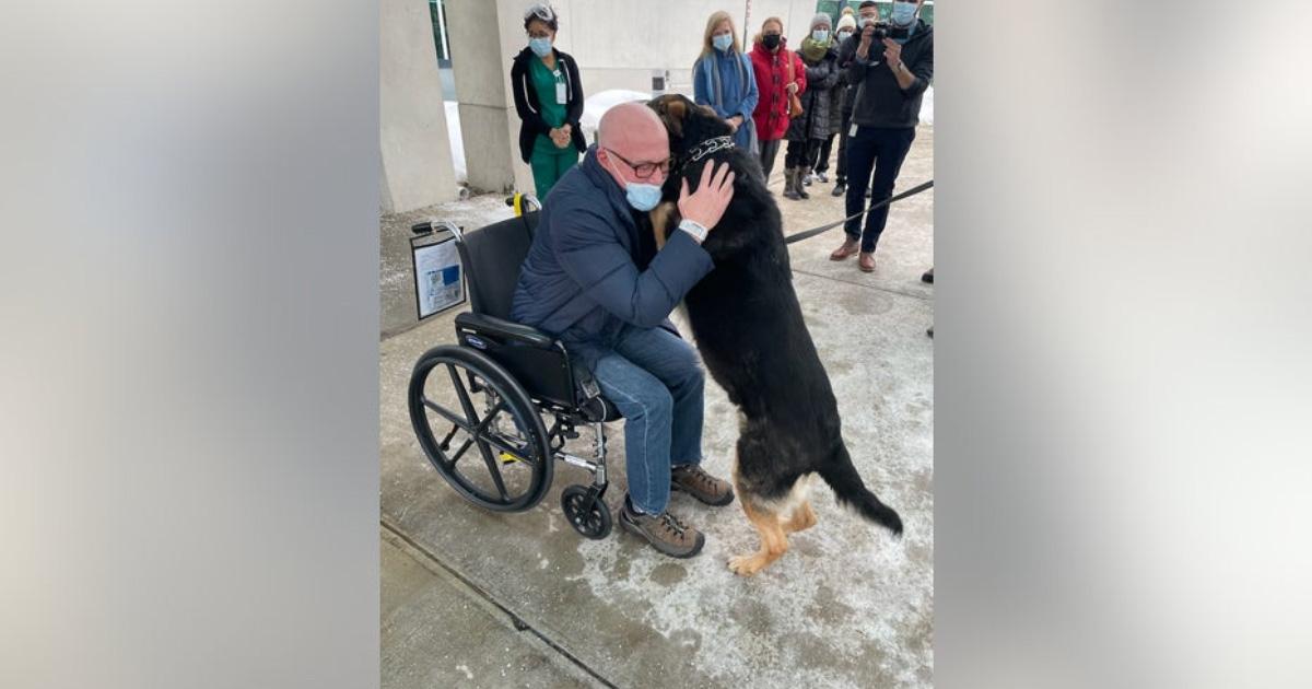 New Jersey Man Reunites With German Shepherd Who Saved His Life