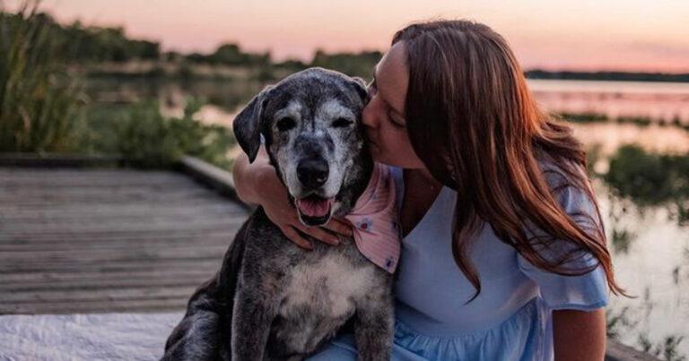 Old Dog Given A Month To Live Keeps Living Her Best Life For Another Full Year