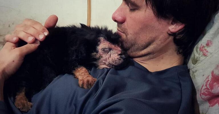Poor Puppy With Severe Health Condition Gets Vision Back In Amazing Transformation