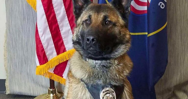 Retiring Police Dog Gets Final Radio Call For His Retirement