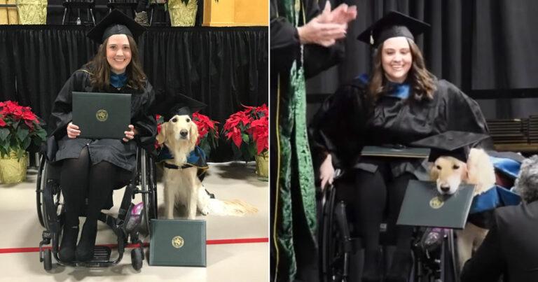 Service Dog Graduates From University With His Owner