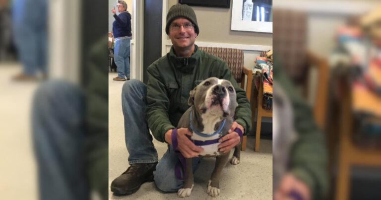 Stuck In A Shelter For 93 Days, Loving Pitbull Gets Adopted By His Favorite Volunteer