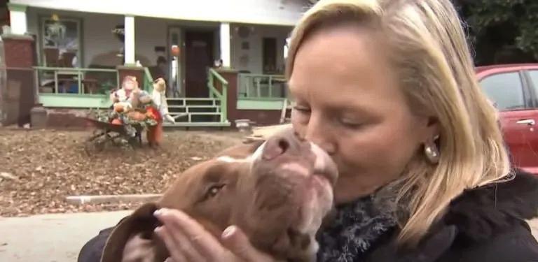 amber kisses brutus after he saved her son