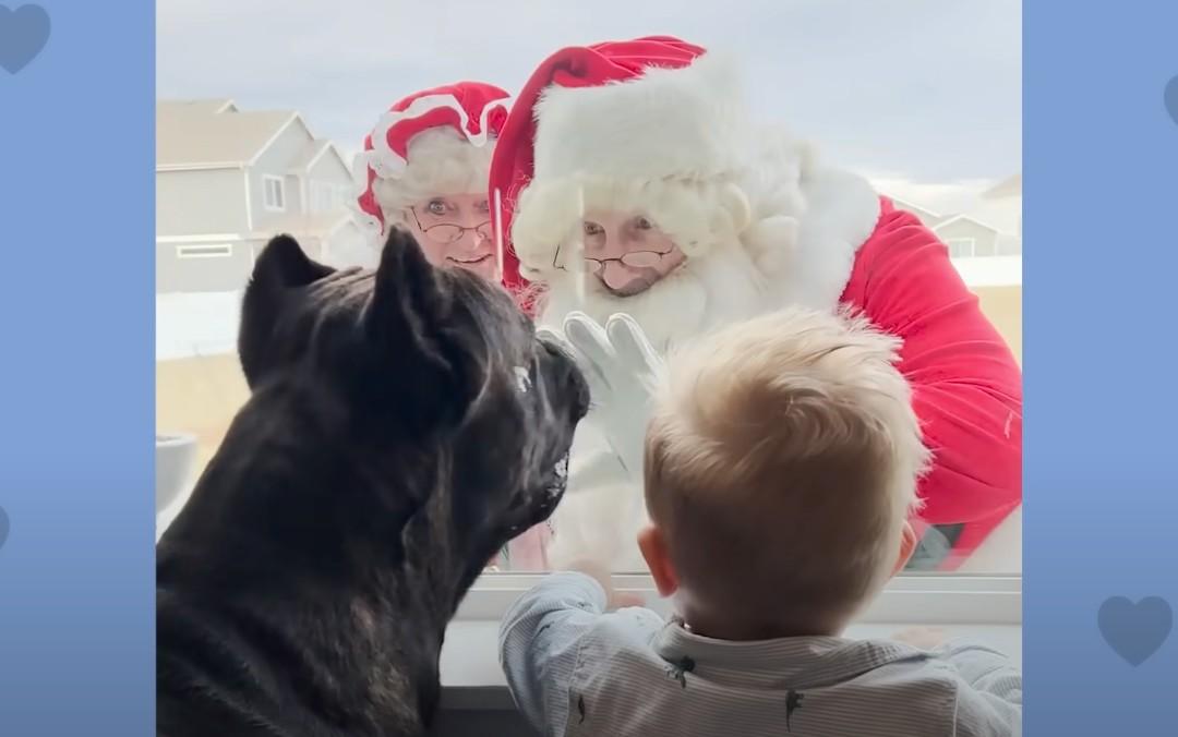 baby boy and drax meeting with santa