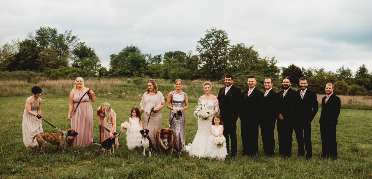 beautiful wedding photo with the adoptable dogs