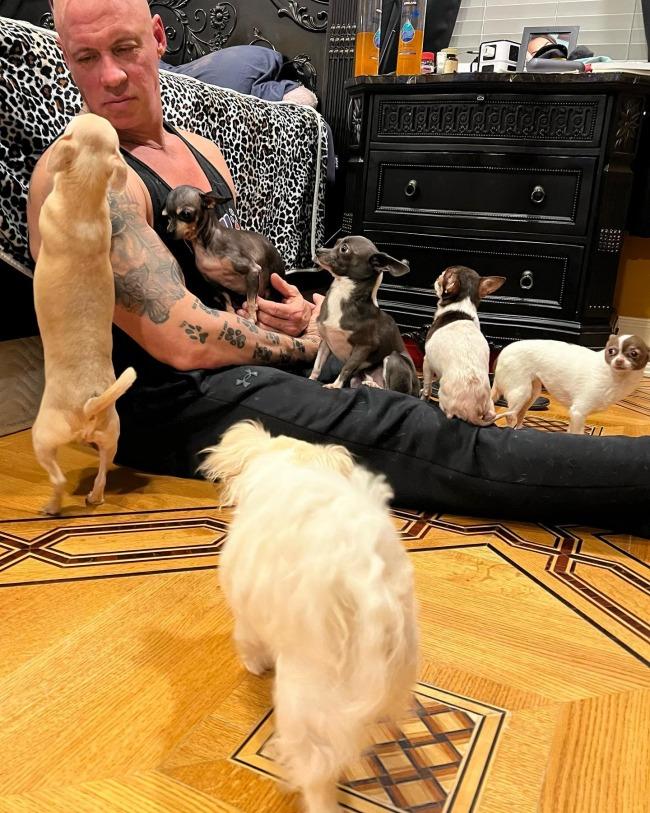 bobby playing with the dogs he saved