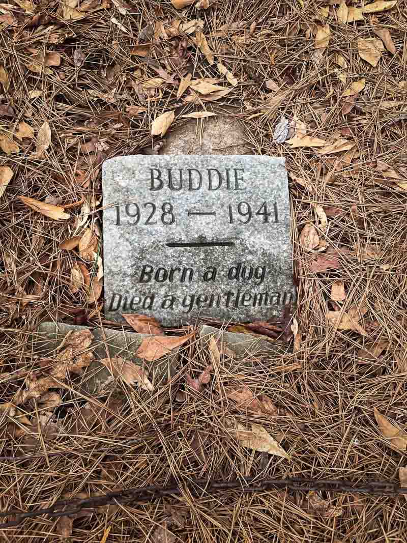 buddie dog grave