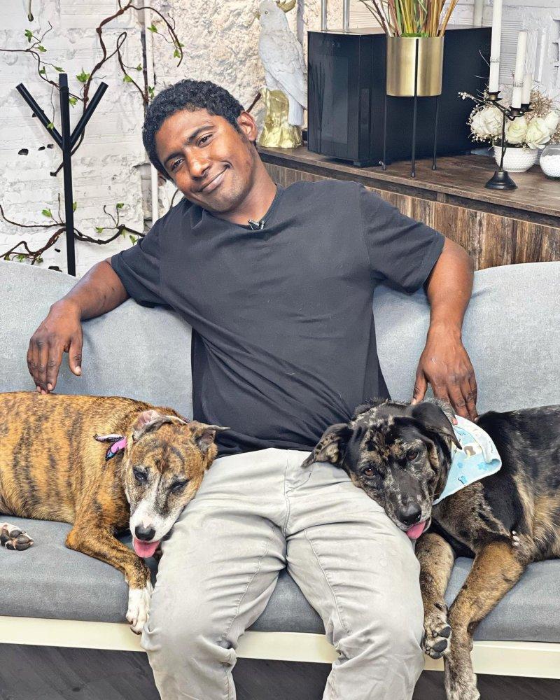 choco on the couch with his dogs