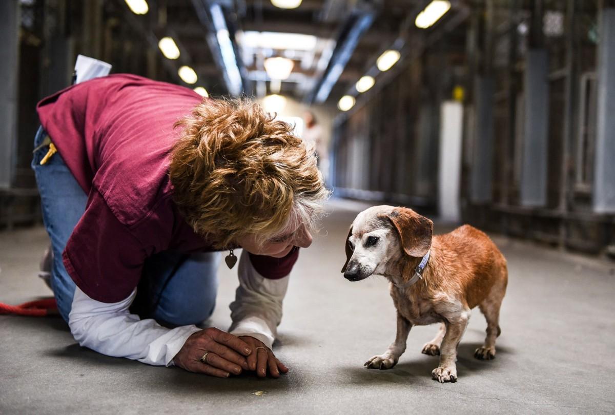 elaine and muneca at the kill shelter