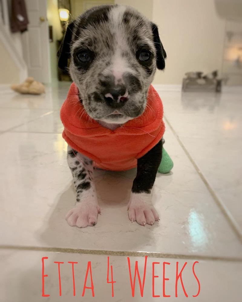 etta at just 4 weeks