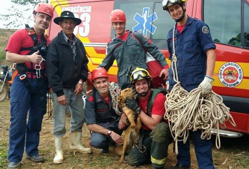 firefighters with rescued pup safira