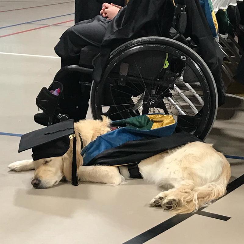 griffin resting after receiving diploma