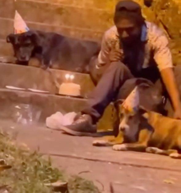 homeless man celebrating birthday with his dogs