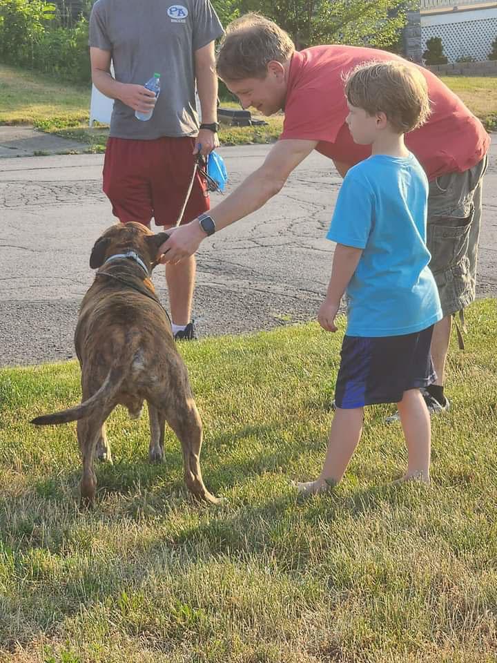 local petting mellow