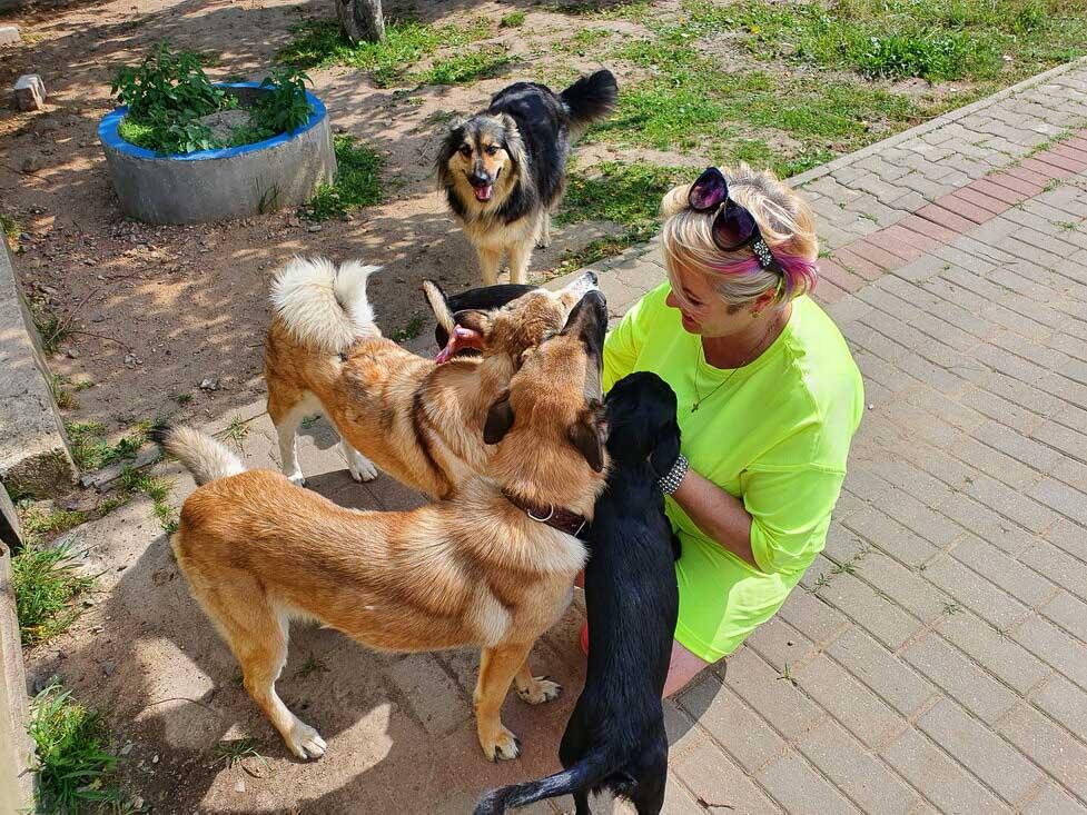 oksana and her rescue dogs