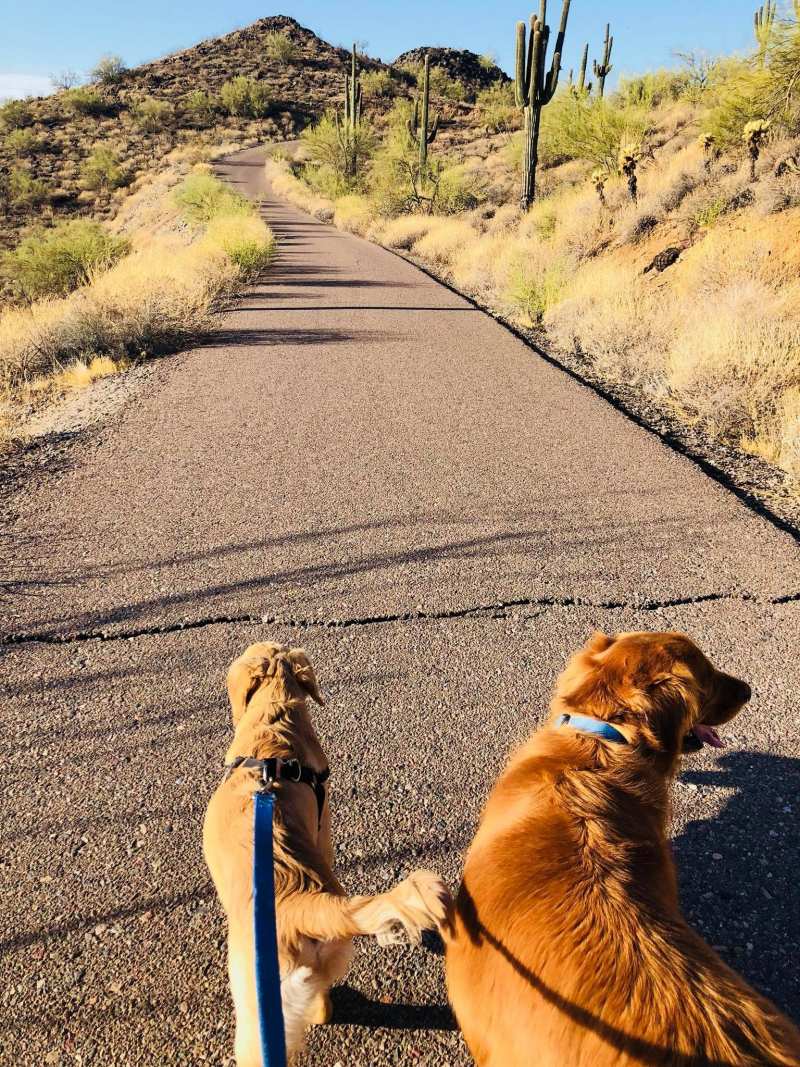 paula and todd on their walk