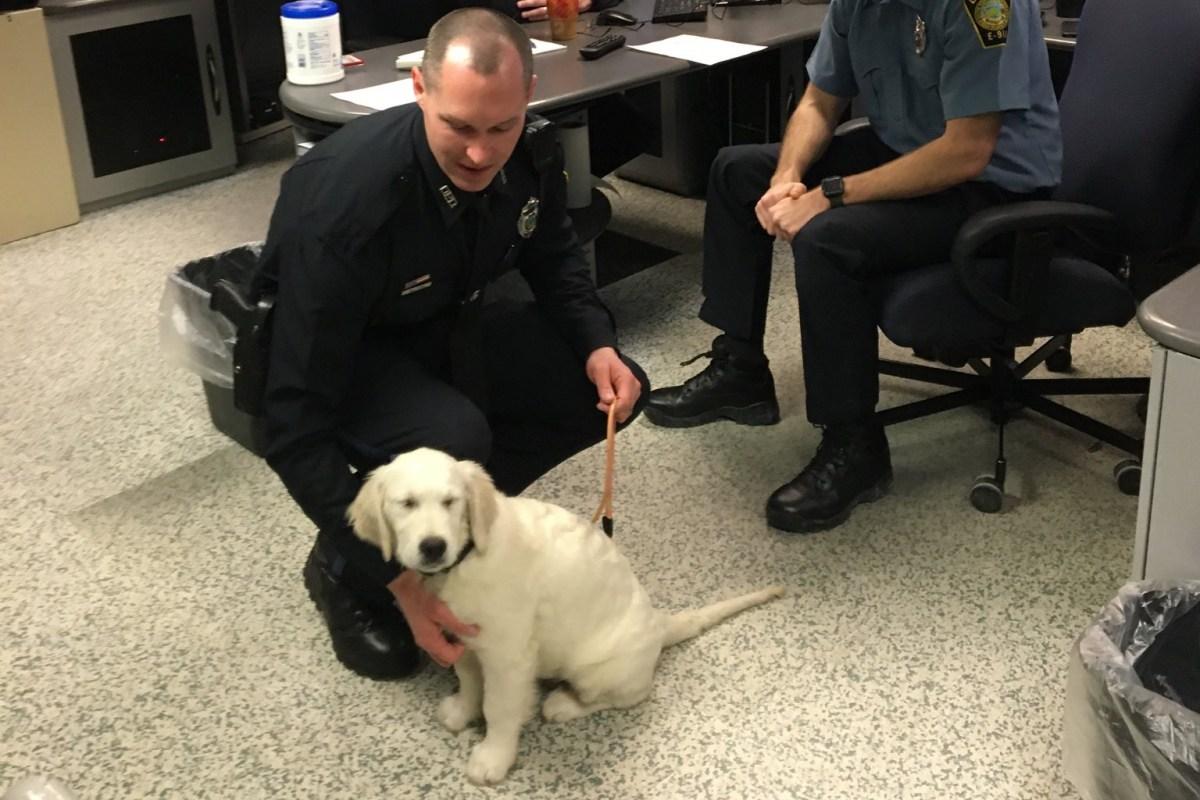 ruby at the police office