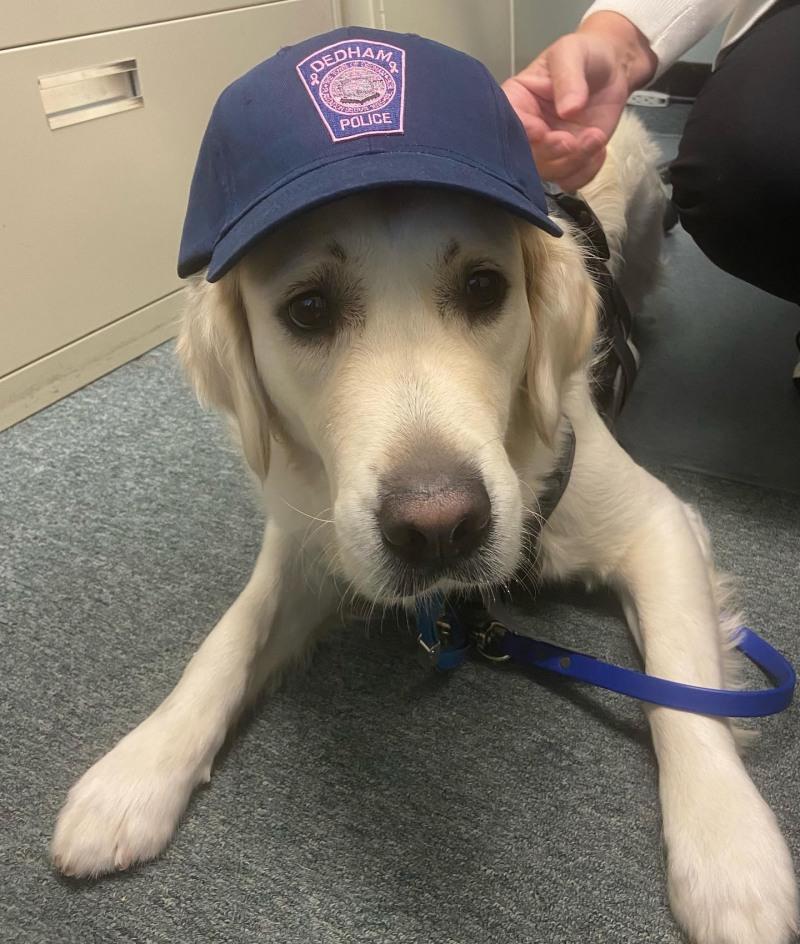 ruby wearing a cute cap