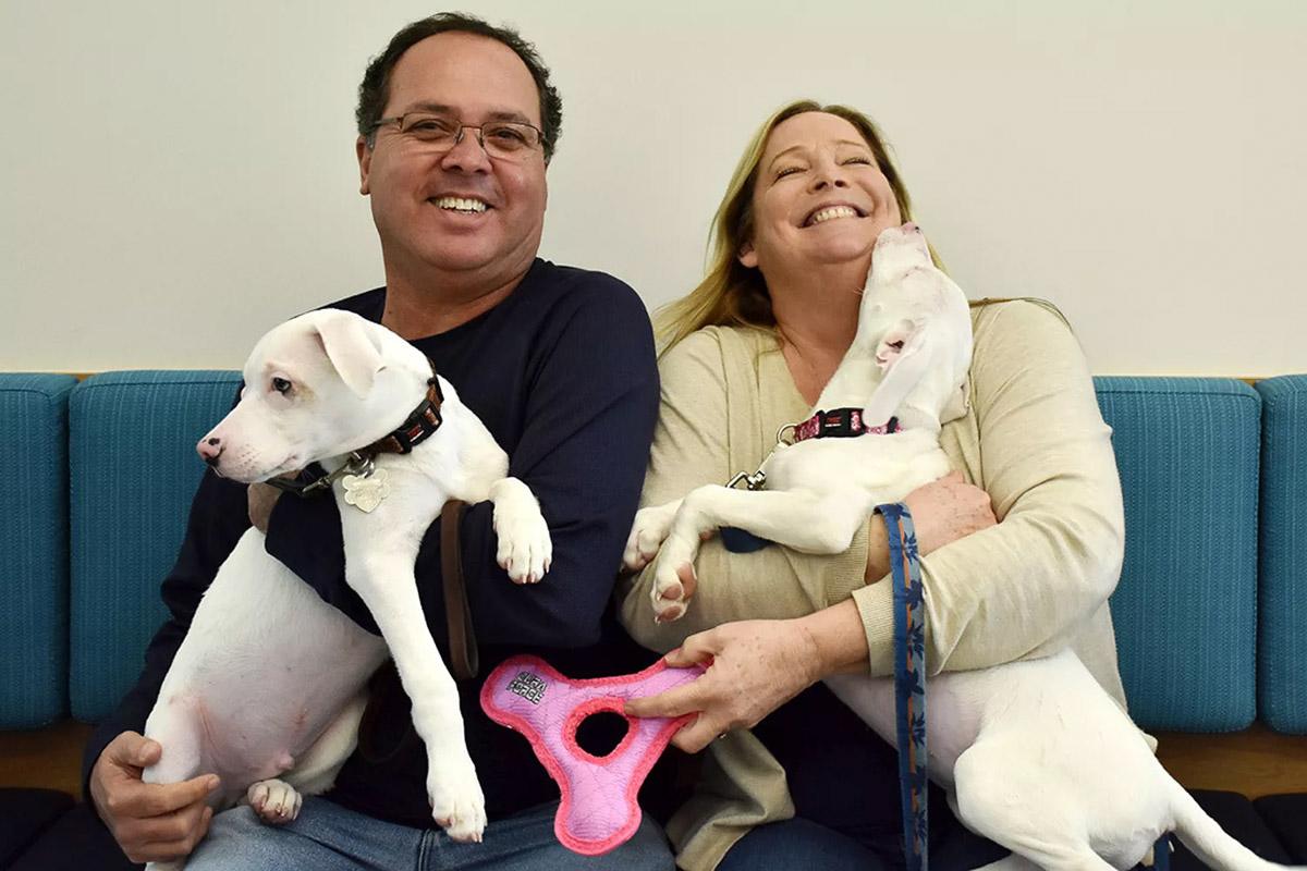 star and denver adopted by new family