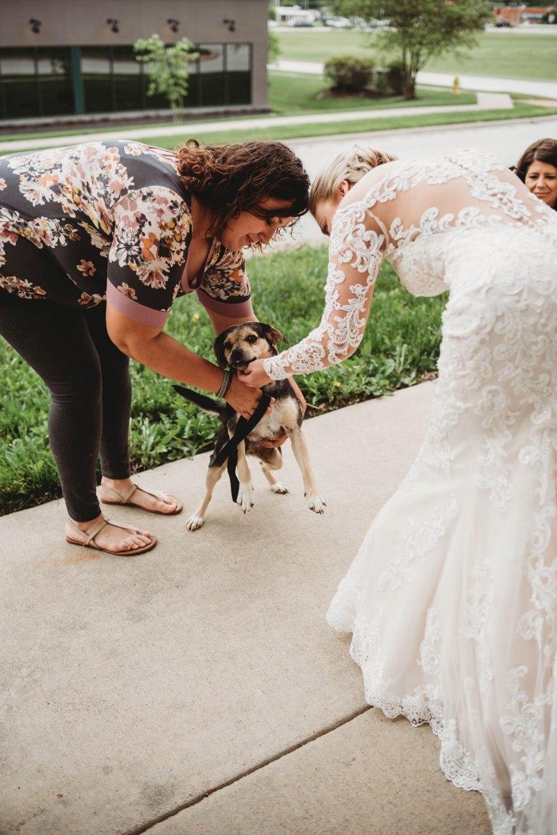 the bride petting a cute doggo