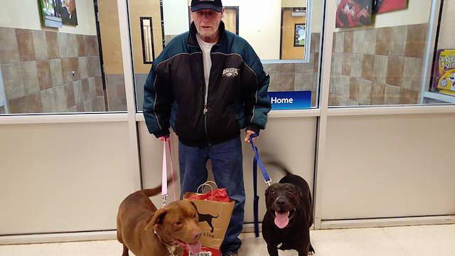 veteran james pack and his two dogs