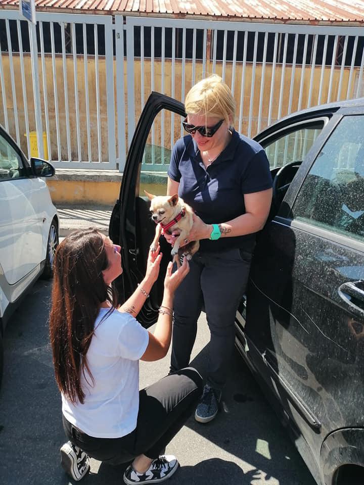 volunteer hands maya to silvia