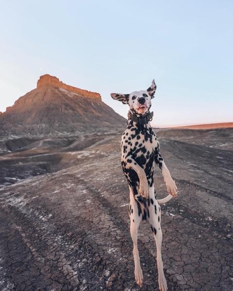 wiley having fun on an adventure