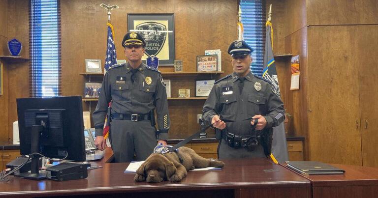 K9 Puppy Joins The Police Force And Sleeps Through The Entire Ceremony