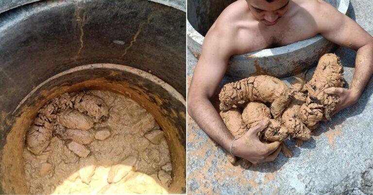 Man Finds 5 Balls Of Mud In A Well That Turn Out To Be Small Puppies
