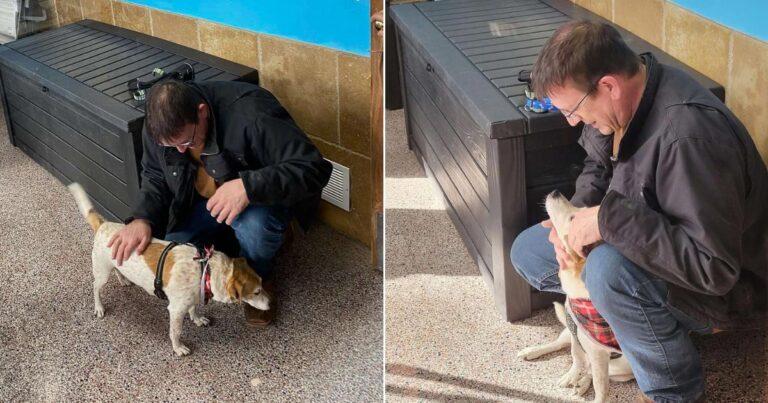 Missouri Dog Missing For 6 Years Finally Sees His Dad Again