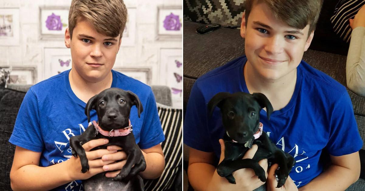 Pup With 6 Legs Gets Adopted By Bullied Teen And They Become Best Friends