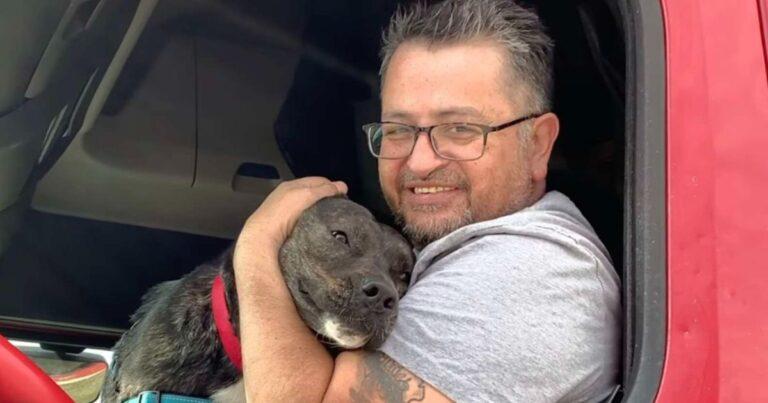 This Adorable Pup Finally Finds Happiness On The Road After 372 Days At A Shelter