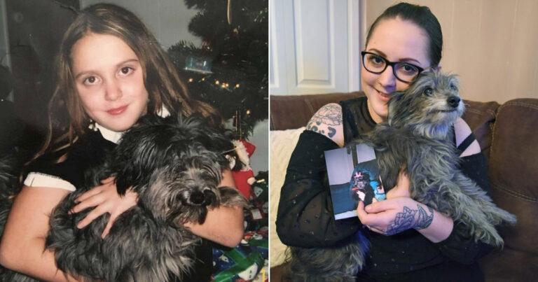 Woman Adopts Senior Dog From Shelter And Realizes It’s Her Childhood Best Friend