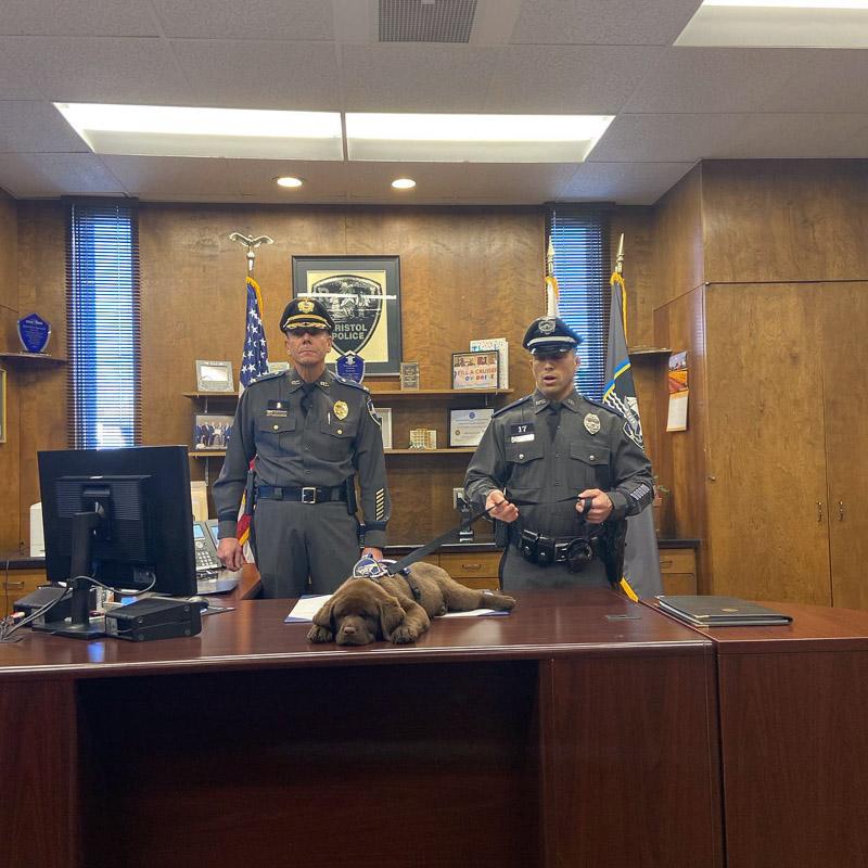 brody sleeping during his swearing in ceremony