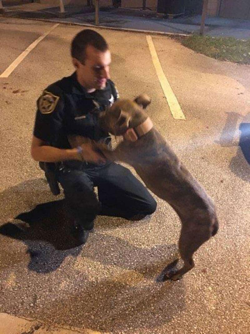 liberty being comforted by officer