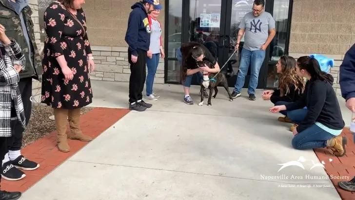 major leaving the shelter with new dad