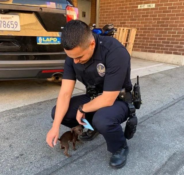 policeman with the tinest pup on the street