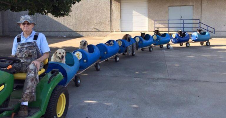 Adorable Grandpa Builds A Dog Train To Bring Joy To Rescued Dogs