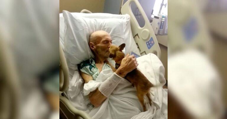 Hospital Patient's Spirits Soar After Reuniting With Beloved Dog