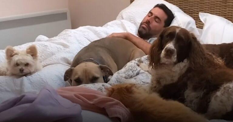 Man And His Big Rescue Family Live Life To The Fullest
