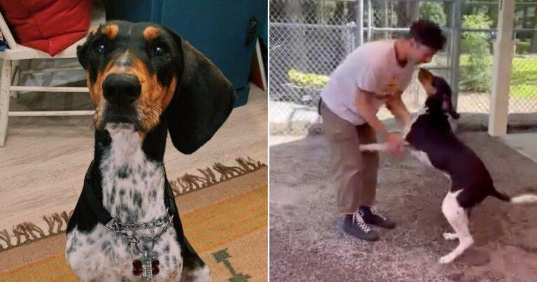 Shelter’s Loudest Dog Falls Silent When Reunited with His Dad