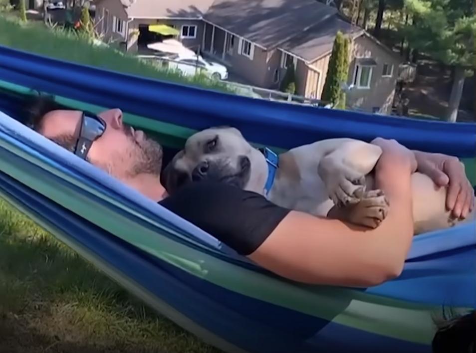 enjoying hammock together